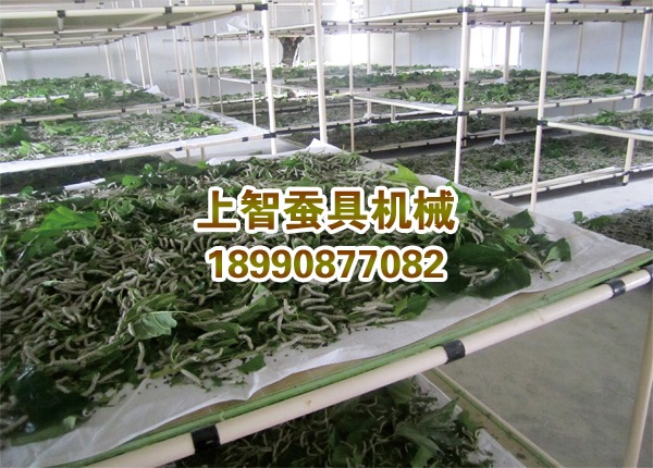 养蚕机械行业售后服务水平亟待提高