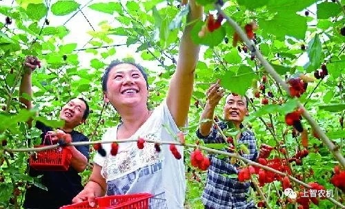 蚕桑新生态旅游业-蚕桑产业发展的新兴项目