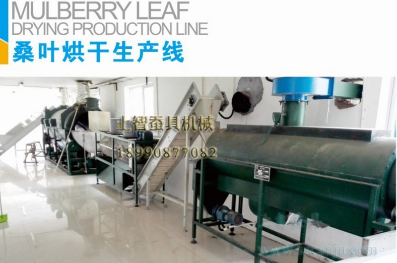 桑叶烘干生产线