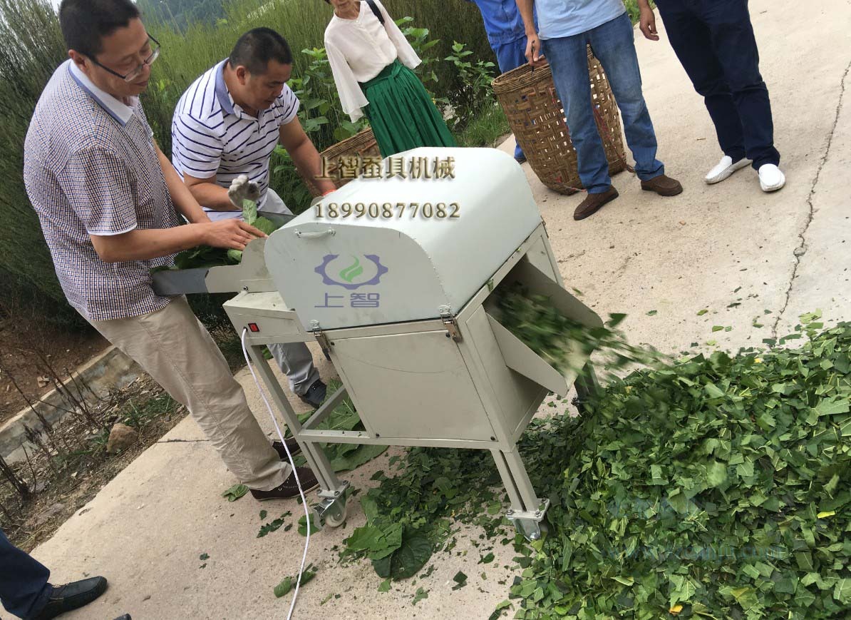 南充上智多功能切桑机切出蚕具新天地