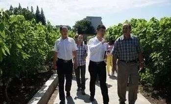 南充促进中巴交流合作 先进蚕桑生产技术与机械推广到古巴