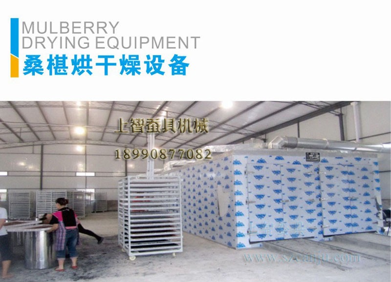 桑椹烘干燥设备